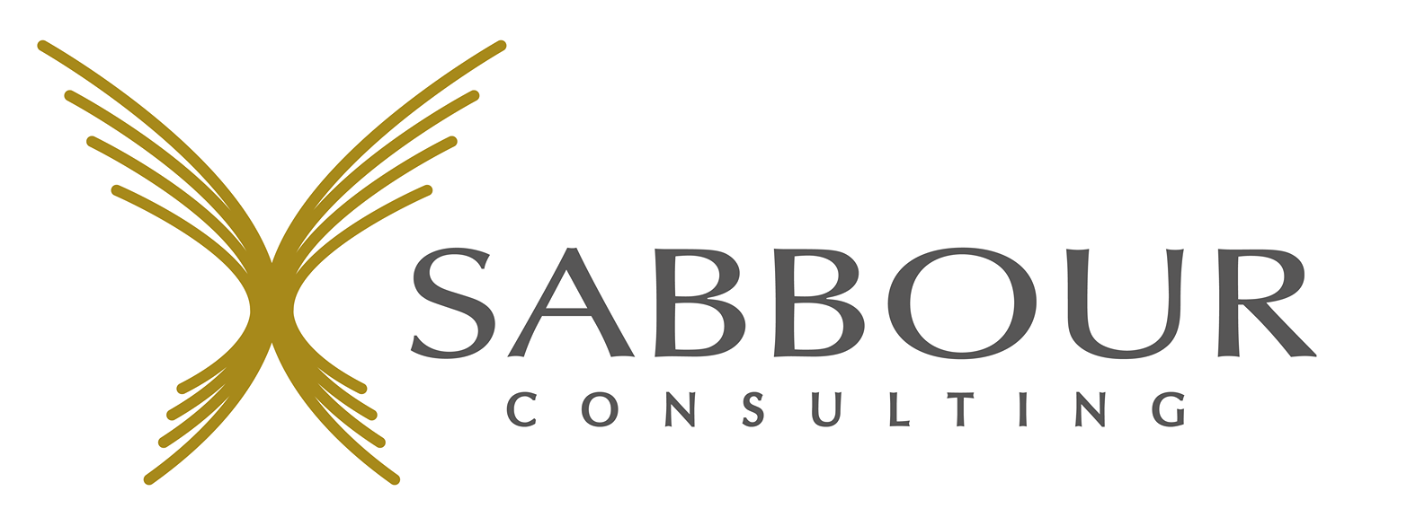 Sabbour Consulting