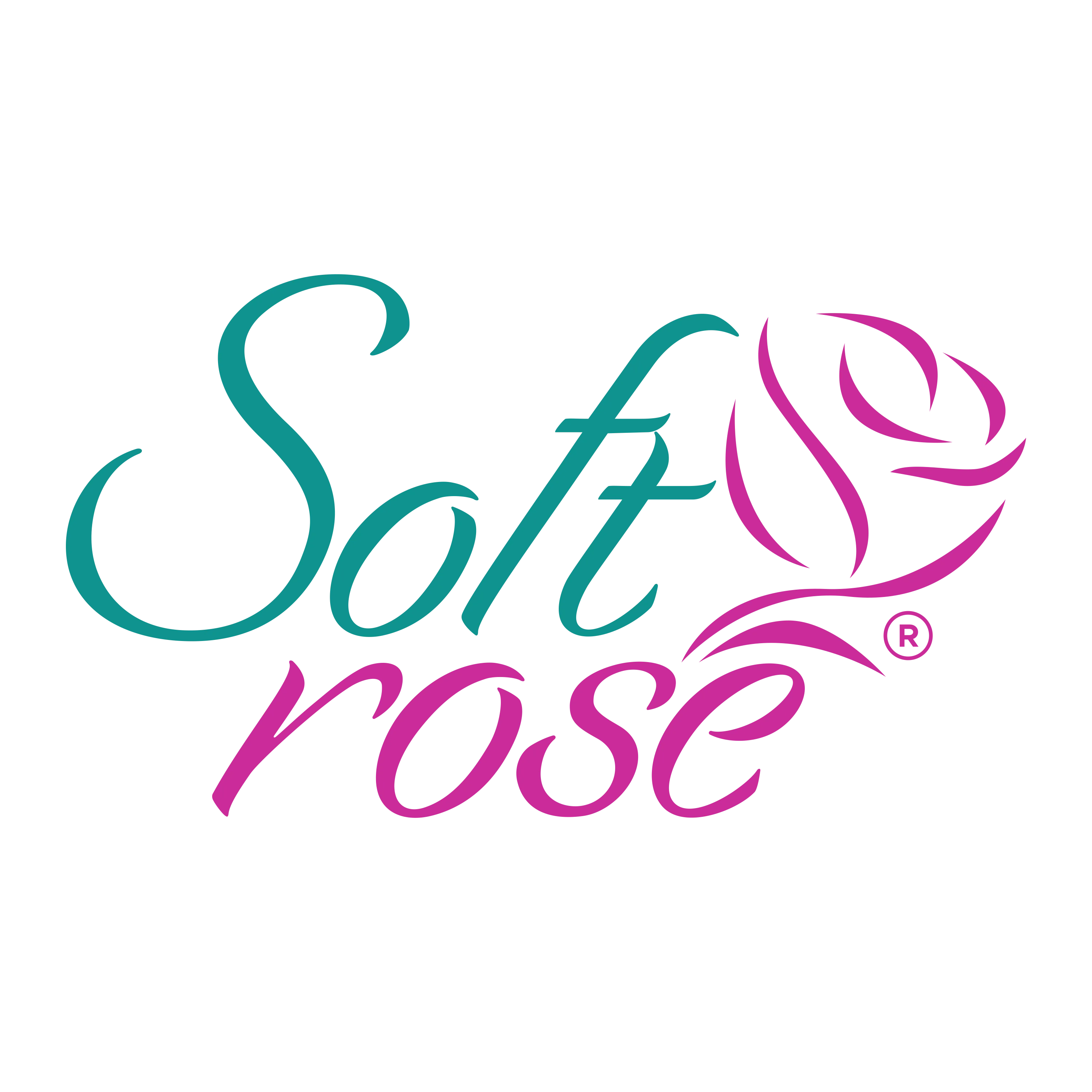 Soft Rose